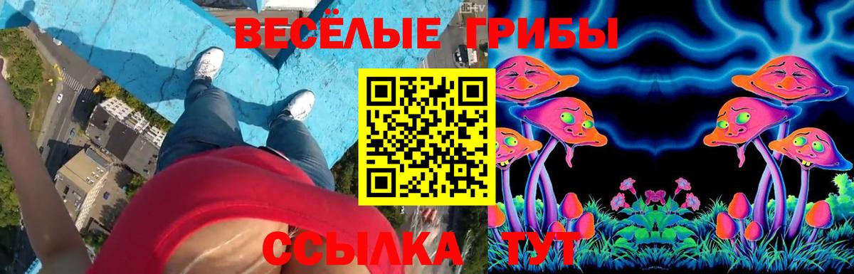 Мирный  Галлюциногенные грибы прущие грибы  даркнет сайт  Вход с VPN  Галлюциногенные грибы MAGIC MUSHROOMS 